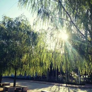 荒野乱斗r34的网站下载
