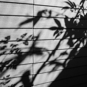 荒野乱斗r34的网站下载
